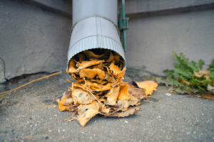The Hidden Dangers of Clogged Downspouts 01
