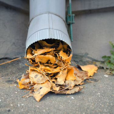 Clogged Downspouts 01