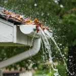 Florida Storm Preparation 01