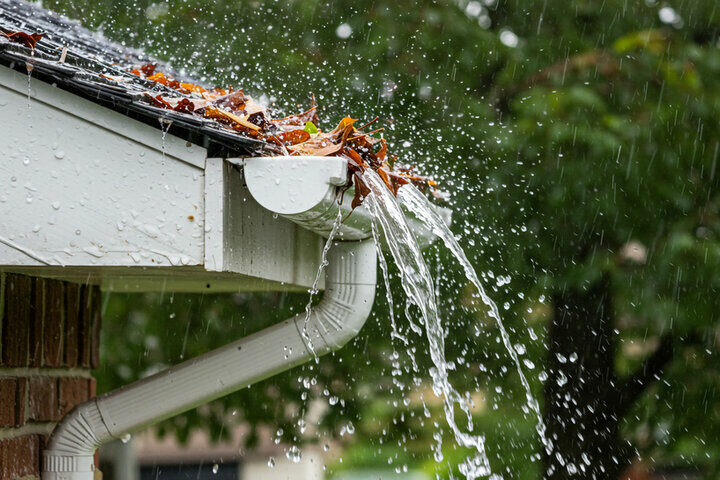 Florida Storm Preparation 01