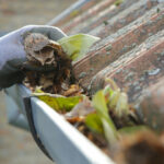 Start the Year with Professional Gutter Cleaning 0`